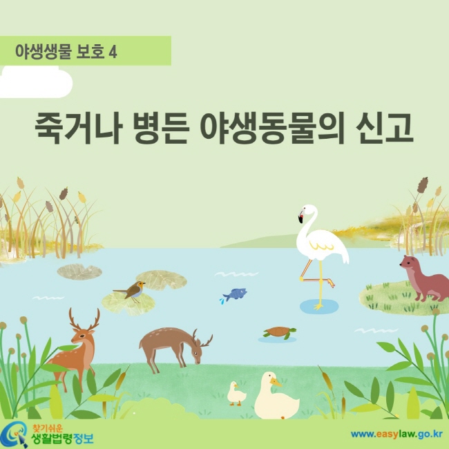 야생생물 보호 4 죽거나 병든 야생동물의 신고