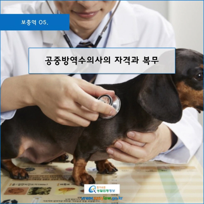 www.easylaw.go.kr 공중방역수의사의 자격과 복무